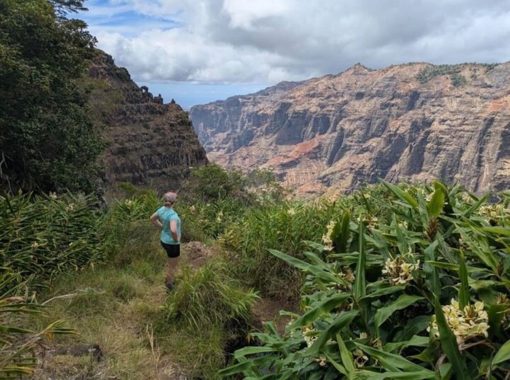 A Hawaiian coastal landscape.